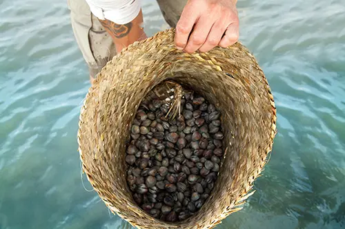 Shellfish in flax basket.