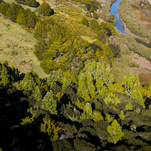 Kaipara 082021 50  S 