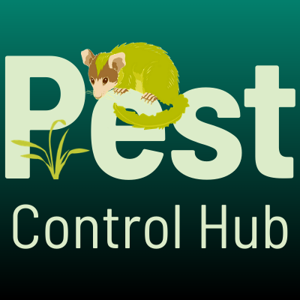 Koi carp - Pest control hub - Northland Regional Council