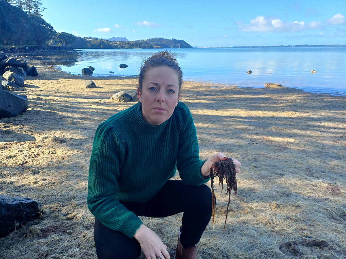 Amy Macdonald kneeling on a beach holding red seaweed.