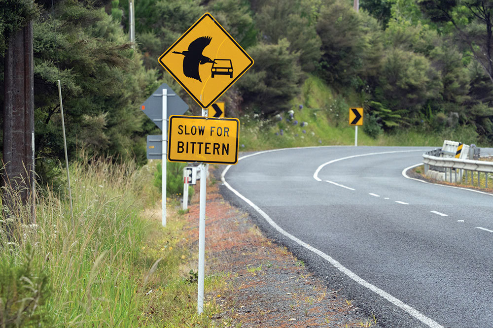 A road sign with a picture of a bittern saying slow for bittern.