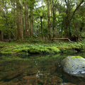 MoU - Biosecurity NZ, DOC and Te Uru Kahika