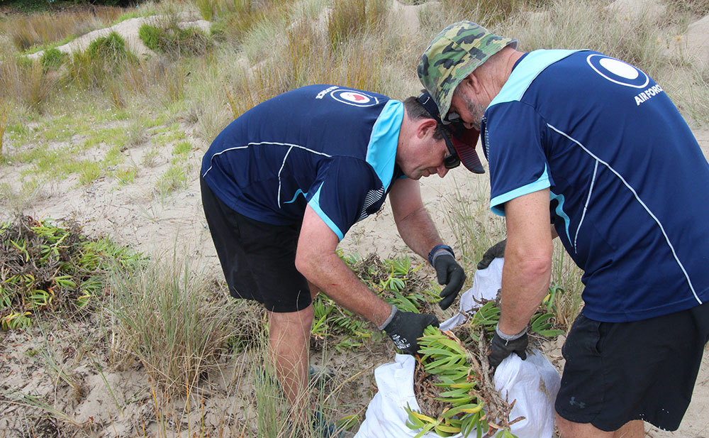 Two volunteers from the Air Force bagging-up invasive dune plants.