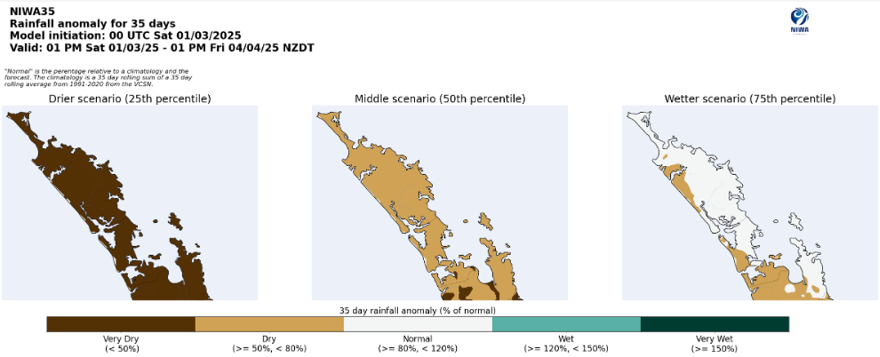 Figure 11 NIWA35 Rainfall Prediction from 1 March 2025