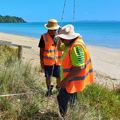 Dune monitoring