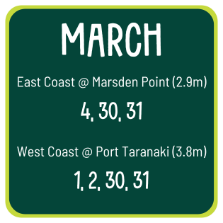 King tide dates 1, 2, 4, 30, 31 March 2025.