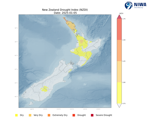 NZDI Jan 2025