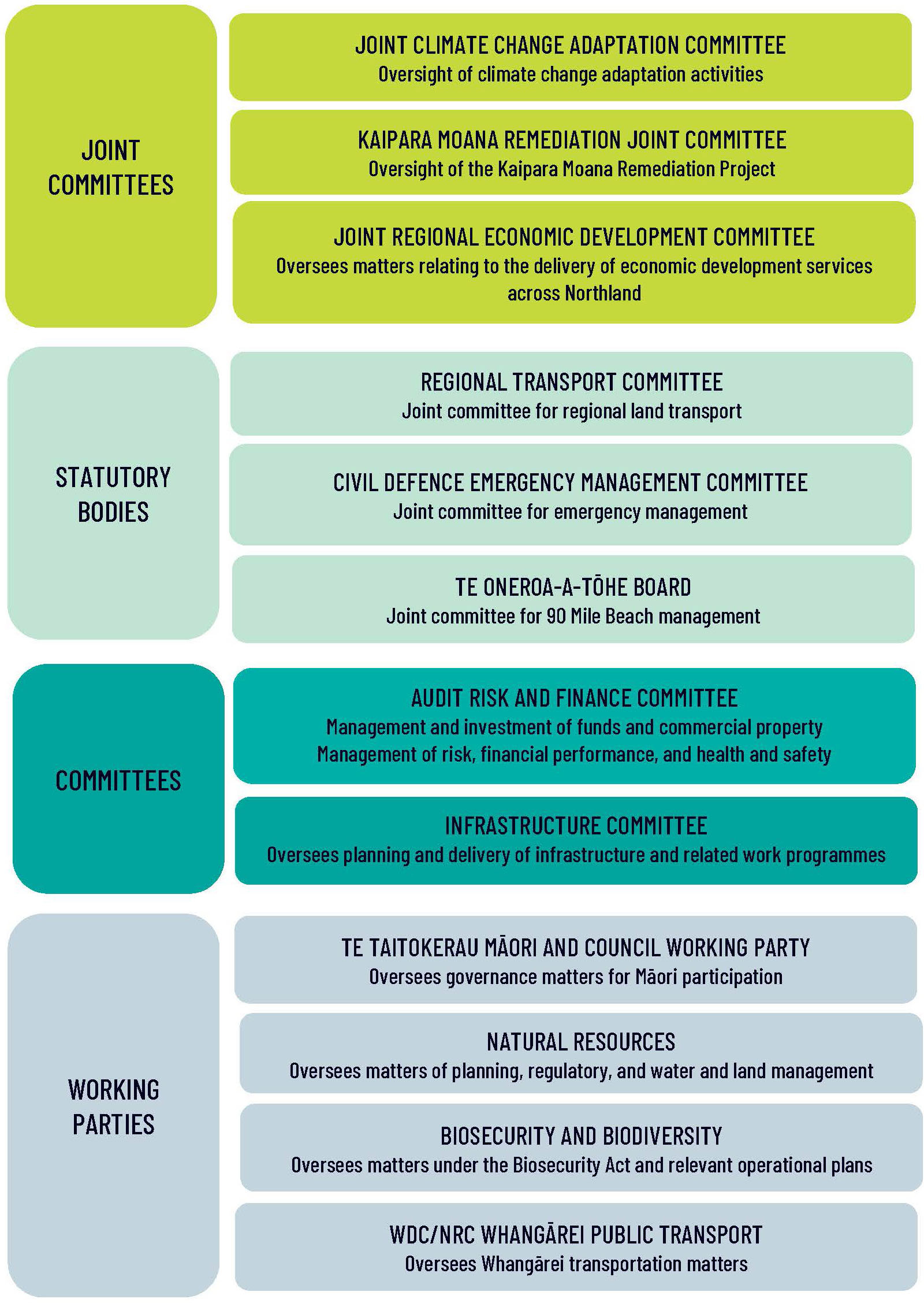 Diagram of Governance Structure.