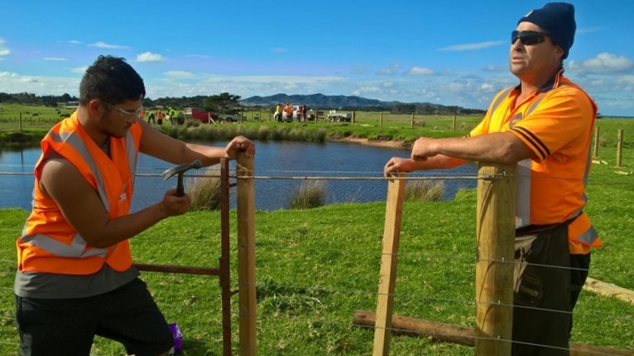 Waifencing Rangiputa Station