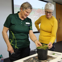 Learn to wipe out Northland’s worst weeds at free workshops