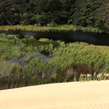 Northland’s dune lakes