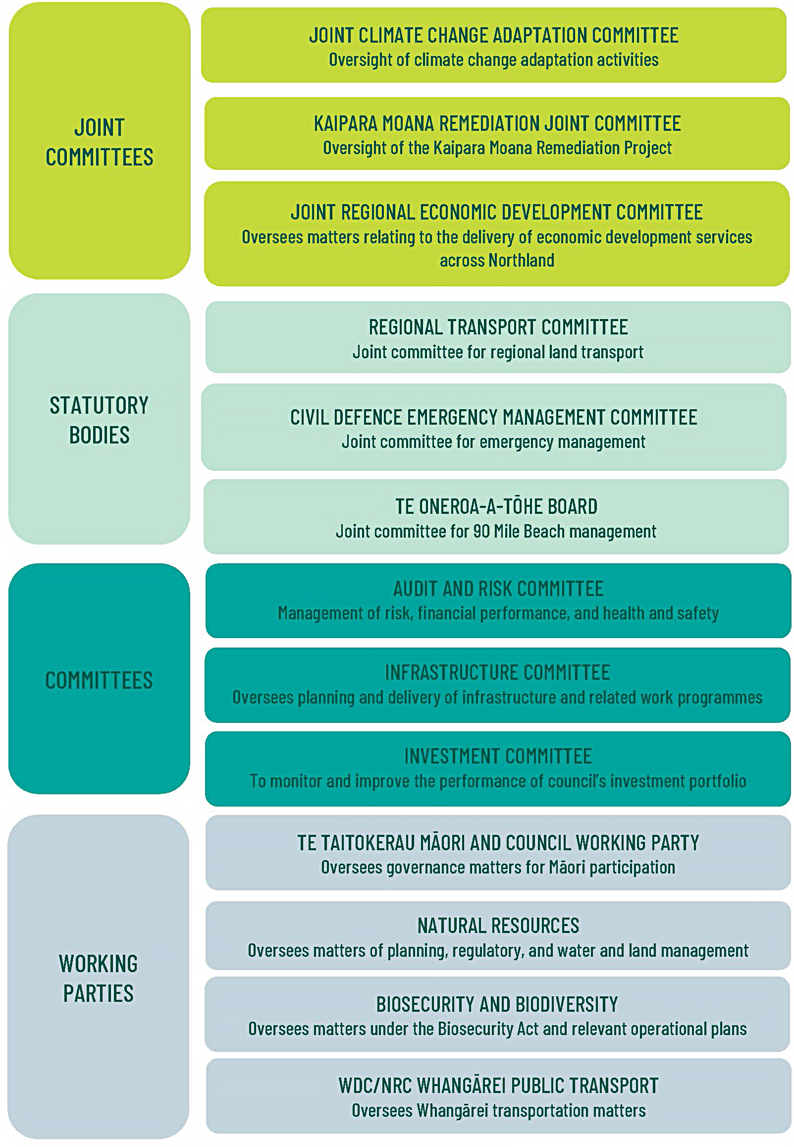 Structure of council governance.