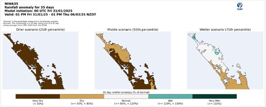 Figure 11: Rainfall prediction for Northland from NIWA35 from January 31st.