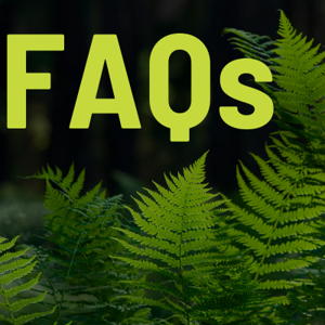 Faqs