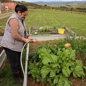 Community Resilience Funding  400