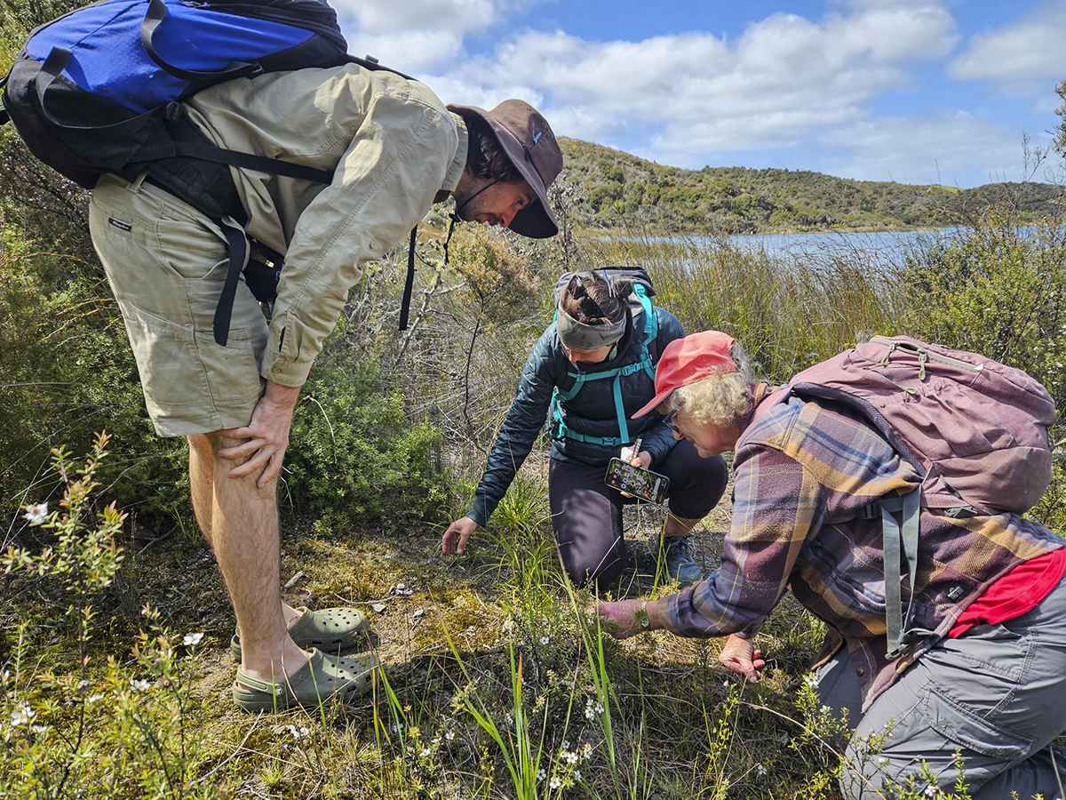 Three people by a lake looking at plants.