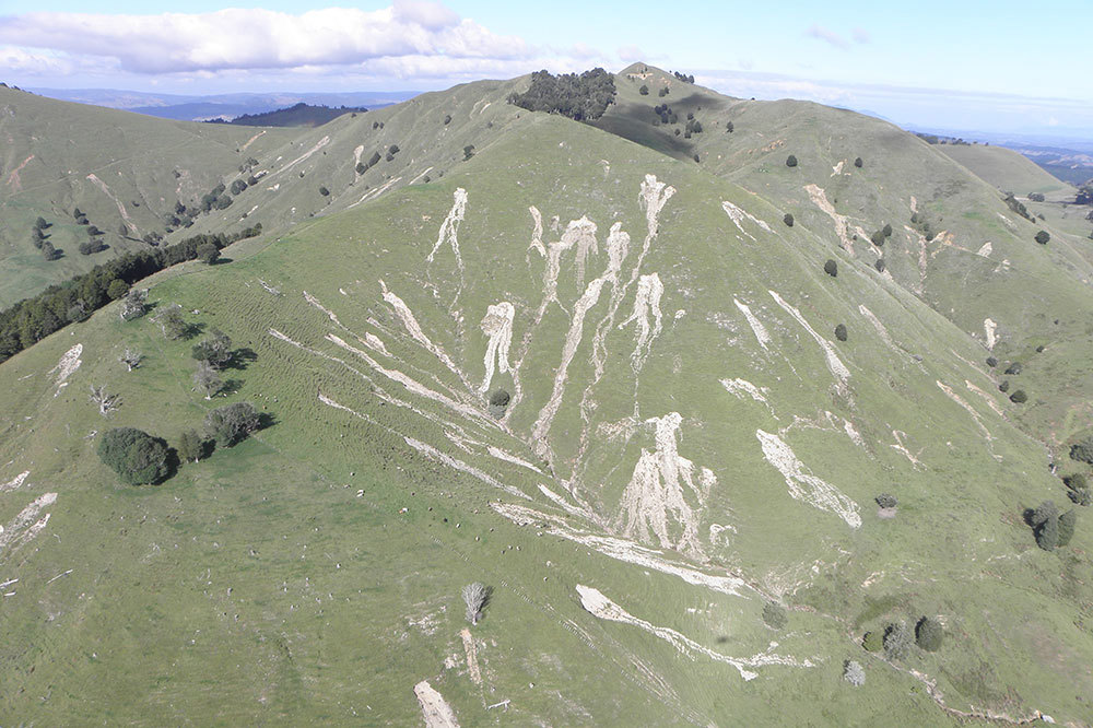 Erosion on steep hillside.